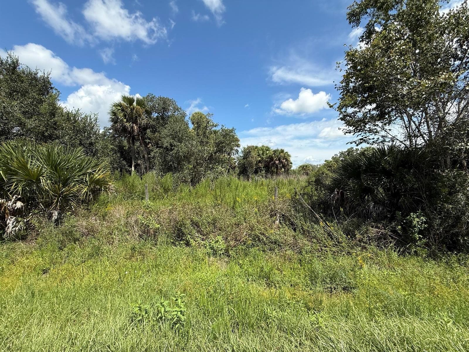 19145 NW 302ND, Okeechobee, FL 34972 photo 5