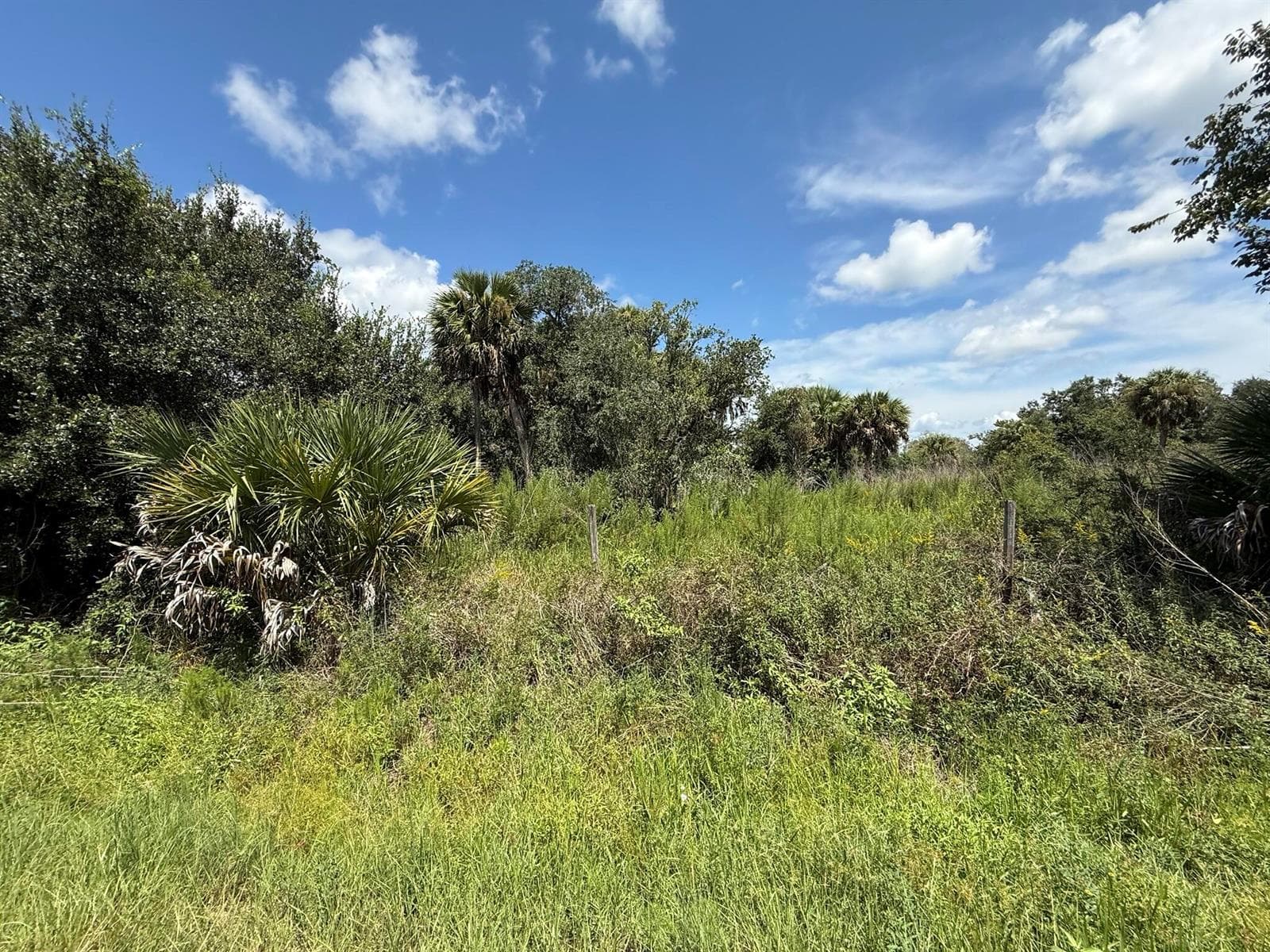 19145 NW 302ND, Okeechobee, FL 34972 photo 4