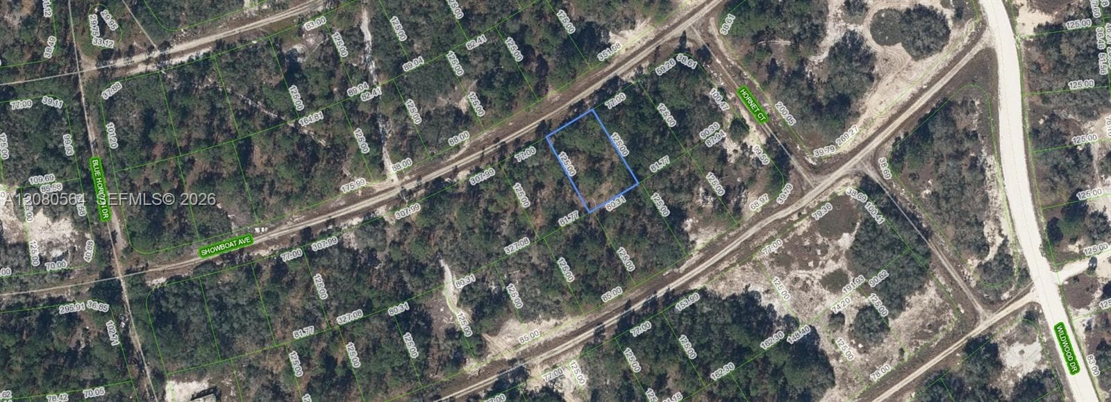 387 Showboat Ave, Lake Placid, FL 33852