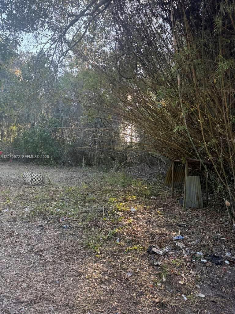 2212 NE Washington ST, Other City - In The State Of Florida, FL 32055 photo 5