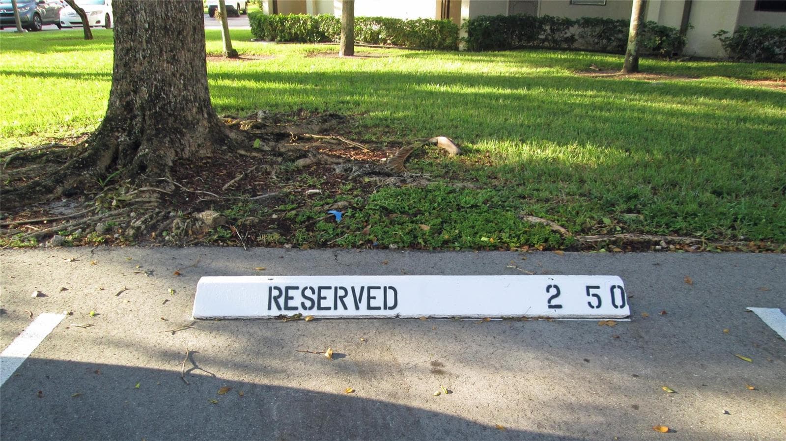 6351 N UNIVERSITY Drive # 224, Tamarac, FL 33321 photo 4