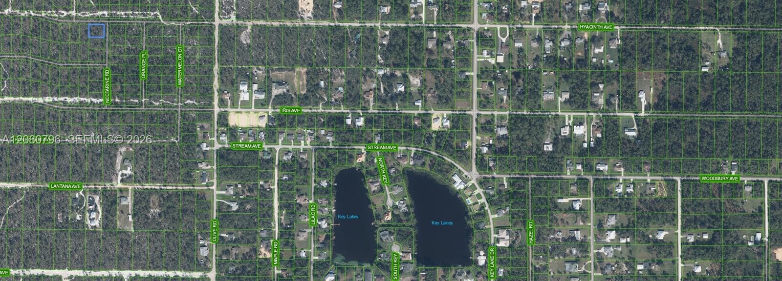 1307 Hyacinth Ave, Sebring, FL 32303 photo 2
