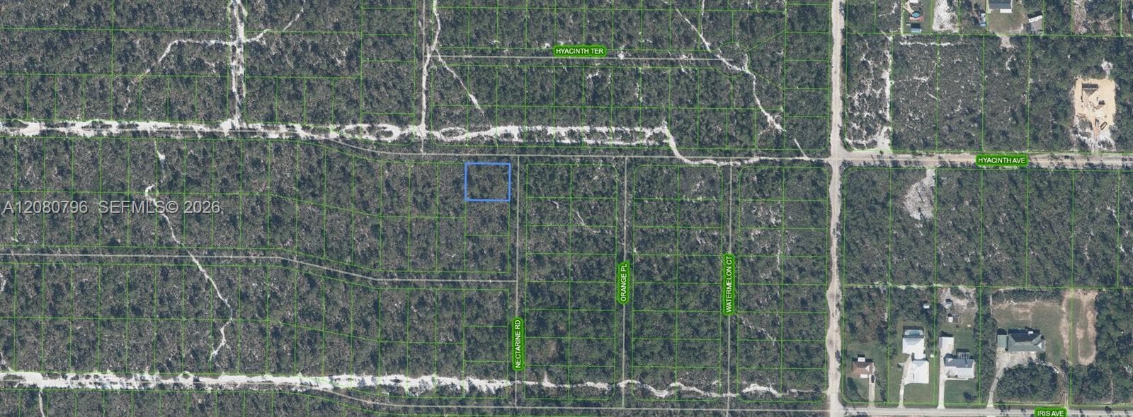 1307 Hyacinth Ave, Sebring, FL 32303