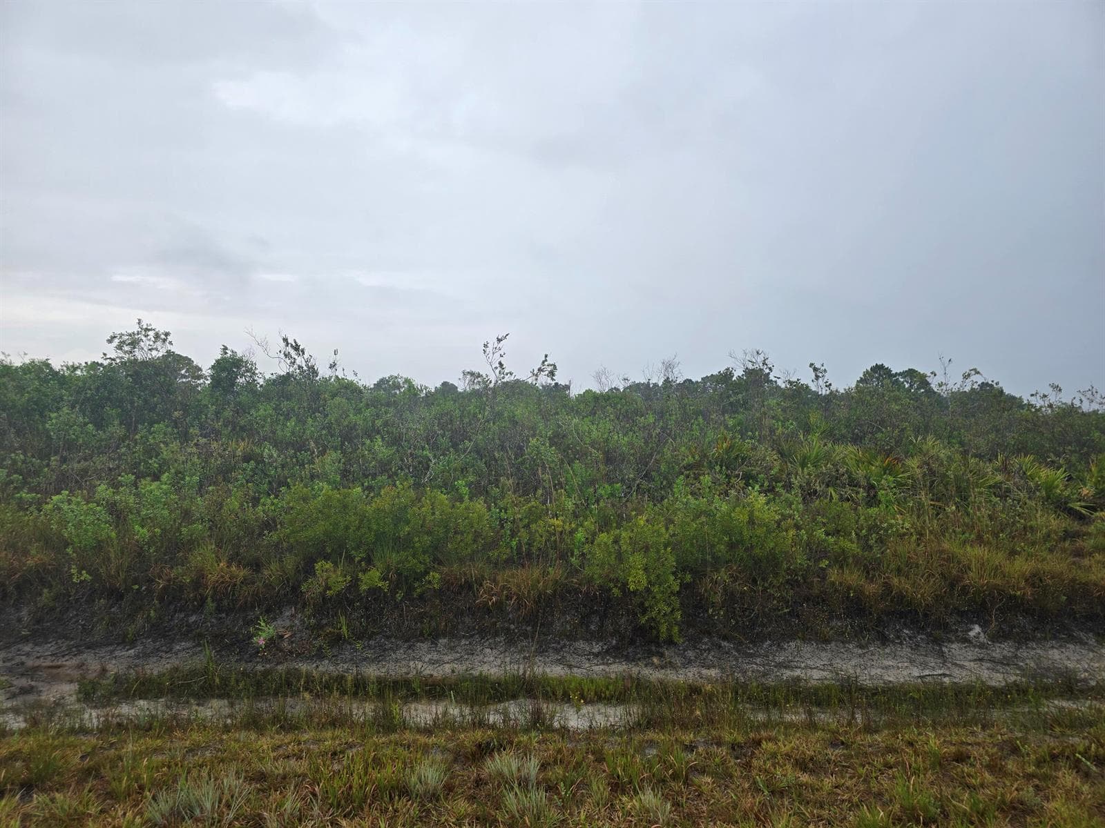 17439 NW 300th Street, Okeechobee, FL 34972 photo 6
