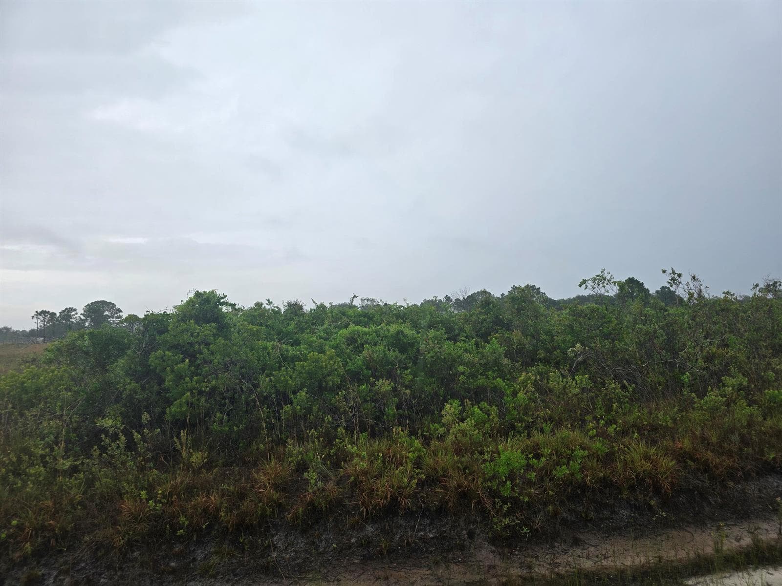 17439 NW 300th Street, Okeechobee, FL 34972 photo 7