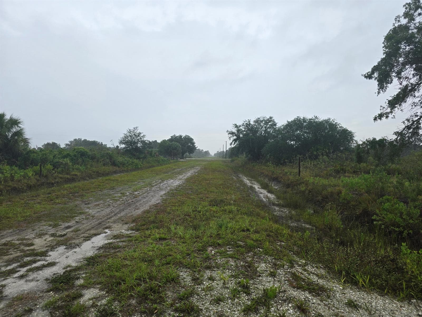 17439 NW 300th Street, Okeechobee, FL 34972 photo 5