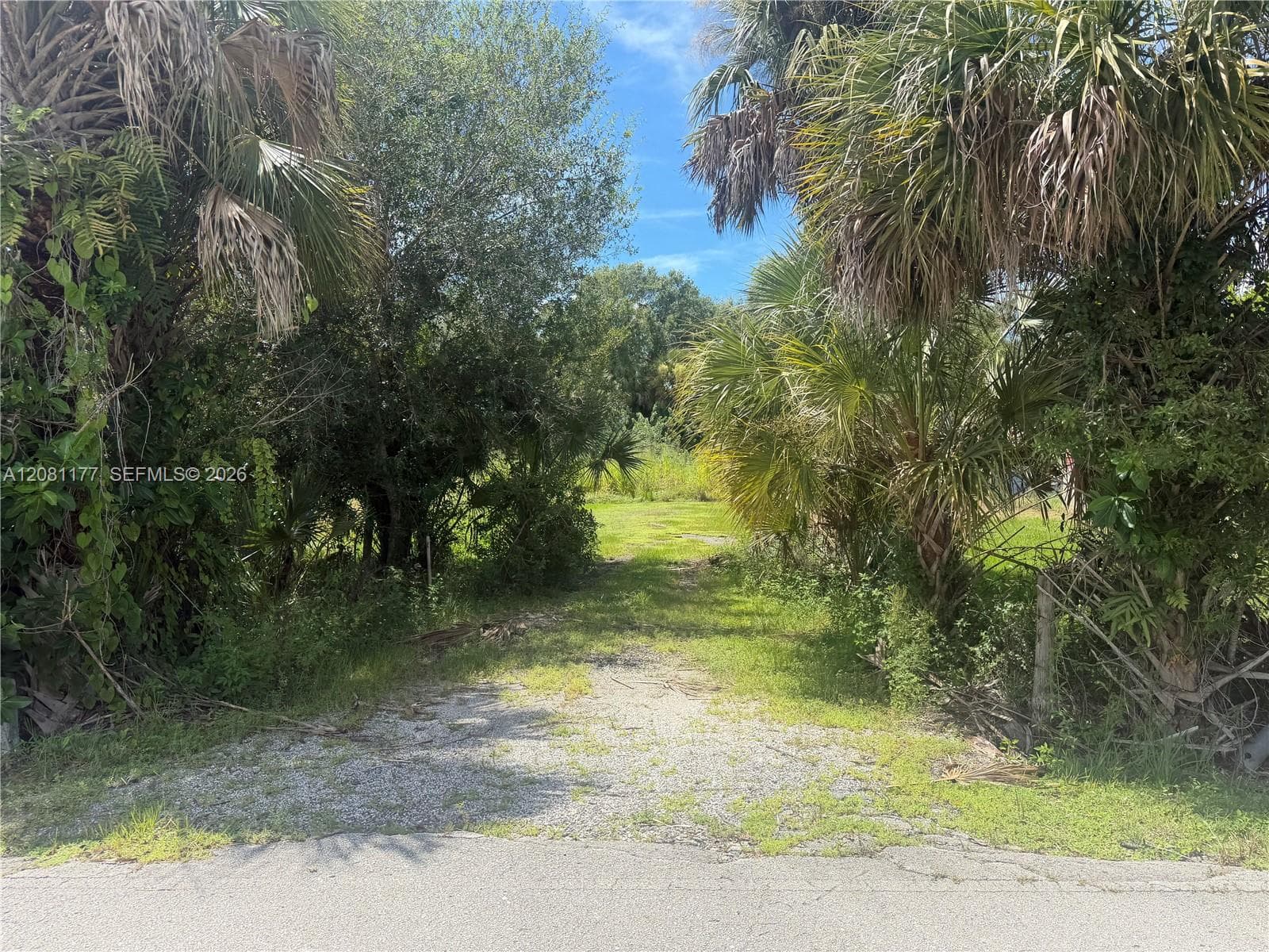 869 Avalon Ave, La Belle, FL 33935 photo 2