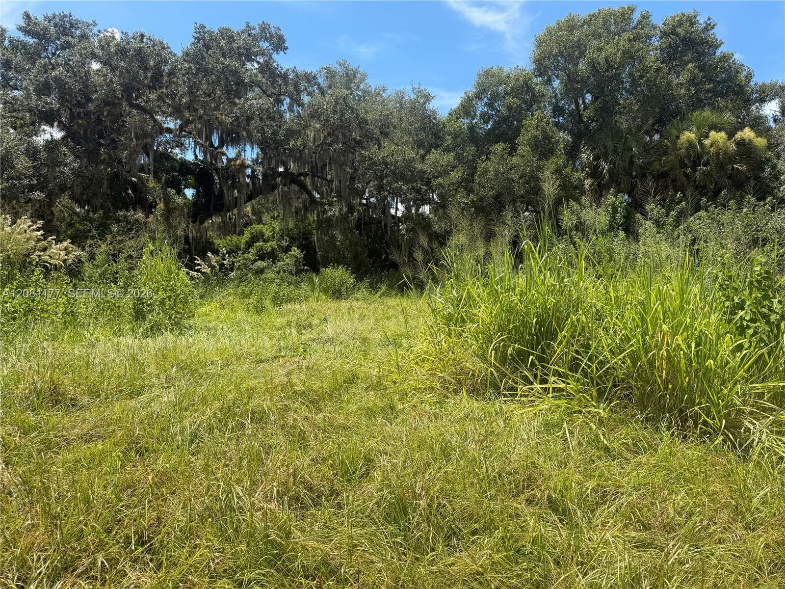 869 Avalon Ave, La Belle, FL 33935 photo 6