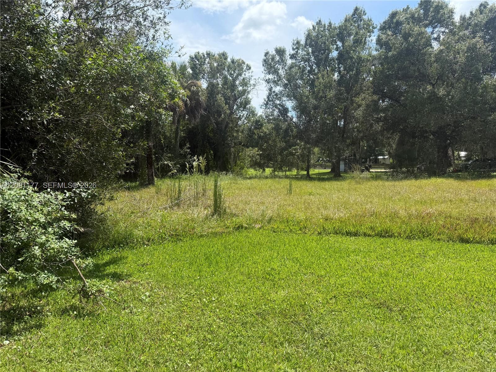 869 Avalon Ave, La Belle, FL 33935 photo 7