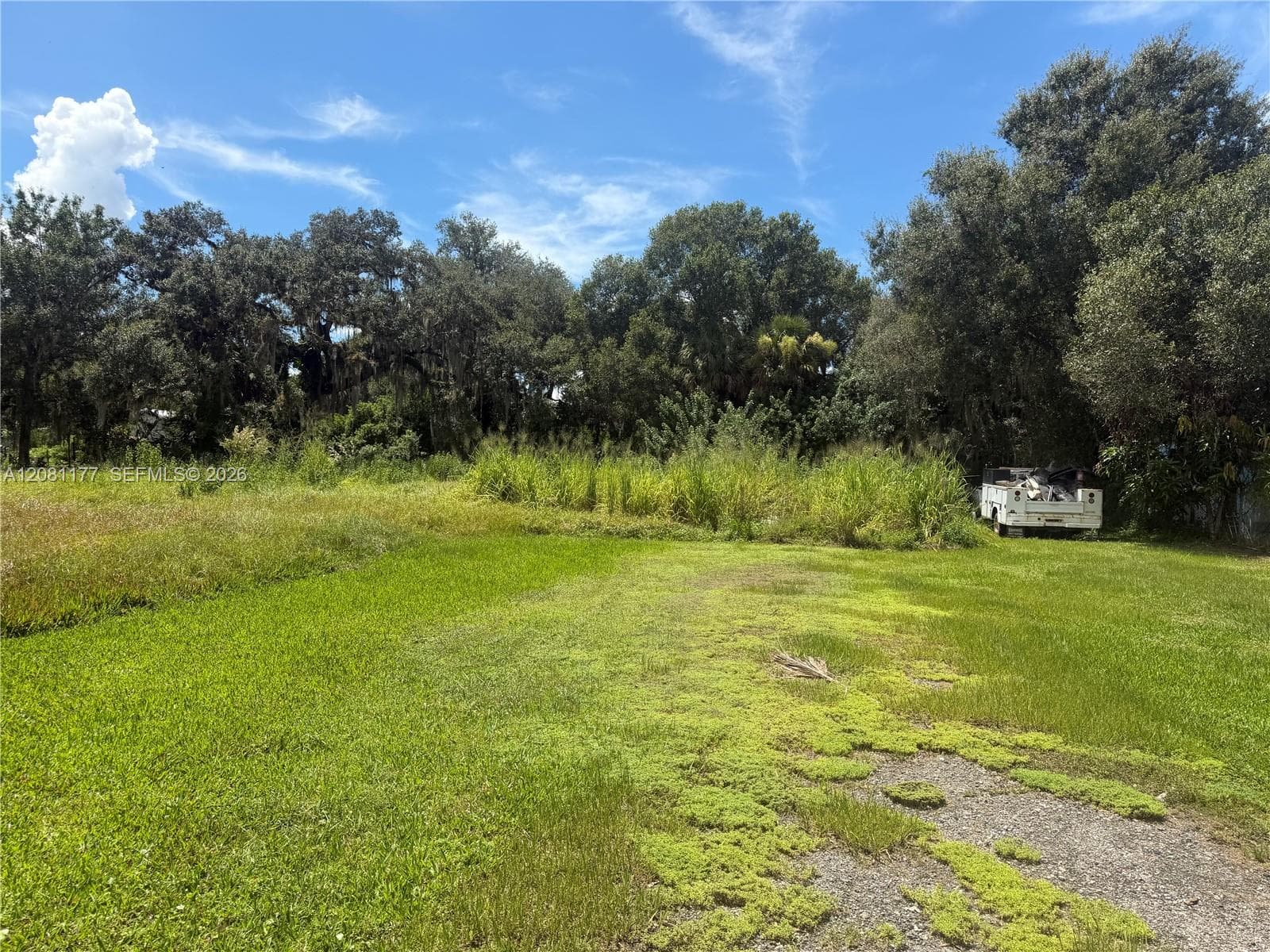 869 Avalon Ave, La Belle, FL 33935 photo 3