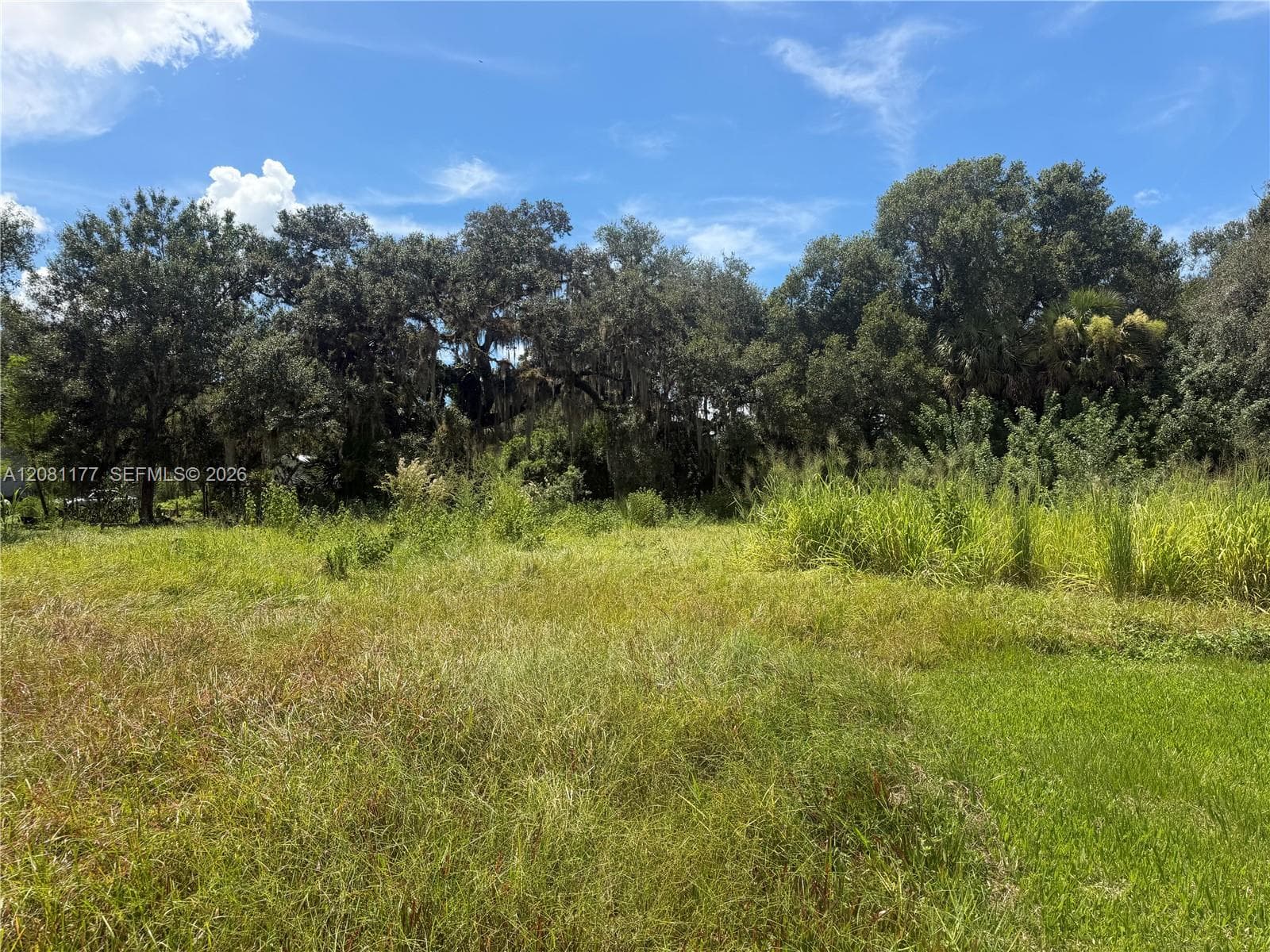 869 Avalon Ave, La Belle, FL 33935 photo 5