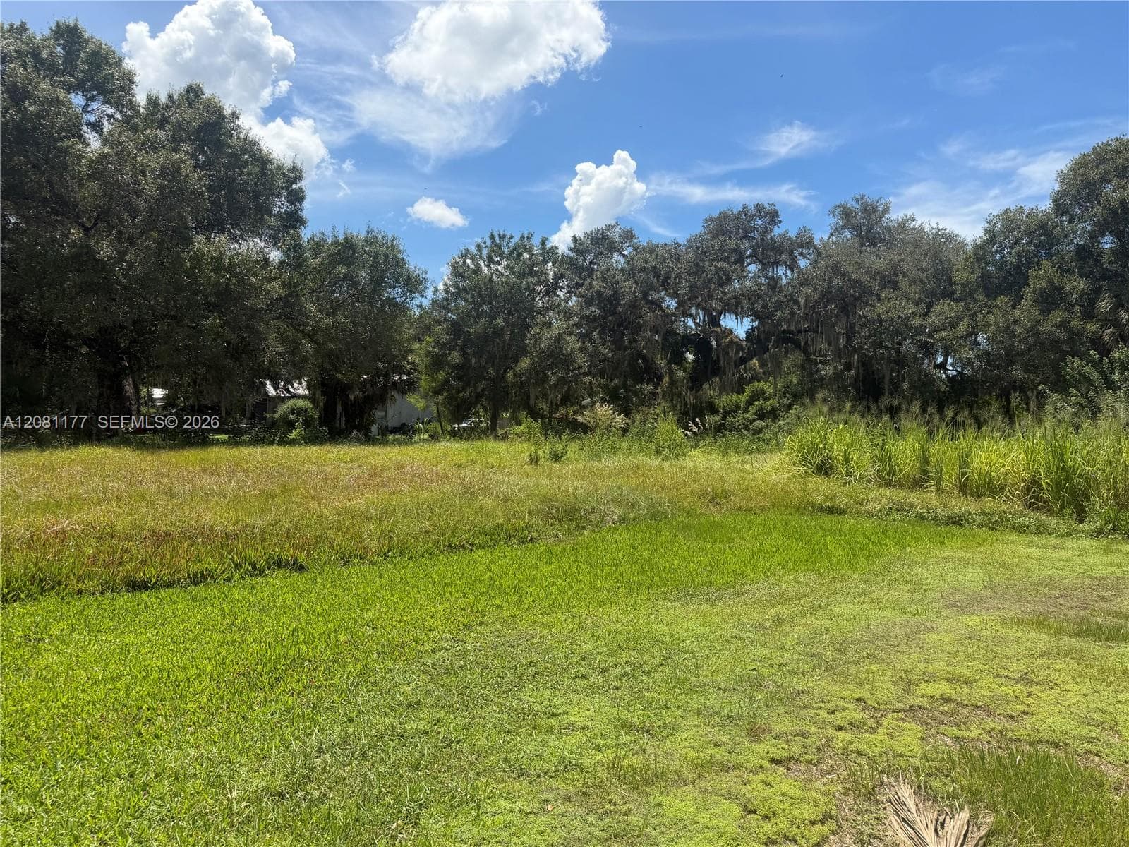 869 Avalon Ave, La Belle, FL 33935 photo 4