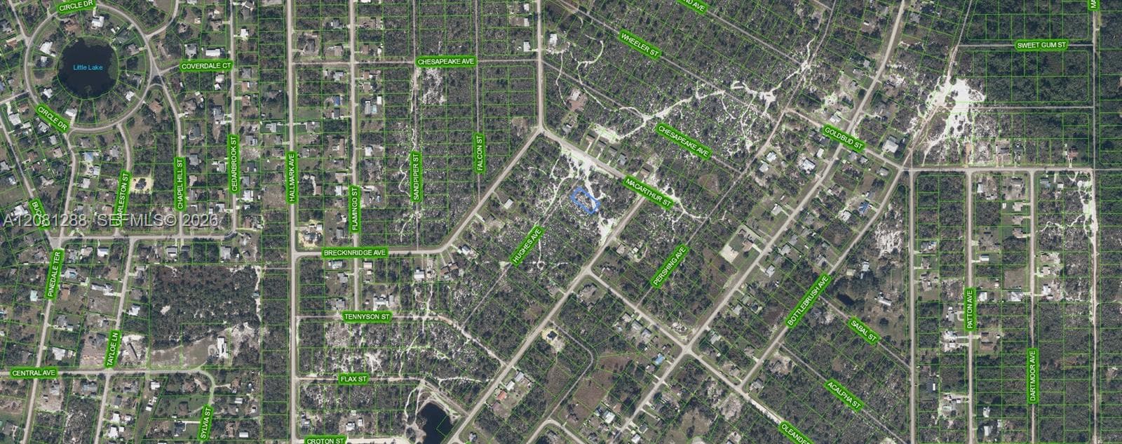 1073 Hughes Ave, Lake Placid, FL 33852 photo 2