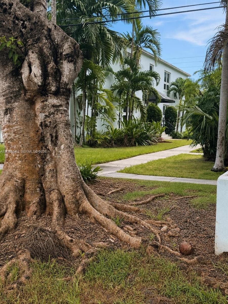 7715 SW 57th Ave # 3, Miami, FL 33143 photo 9