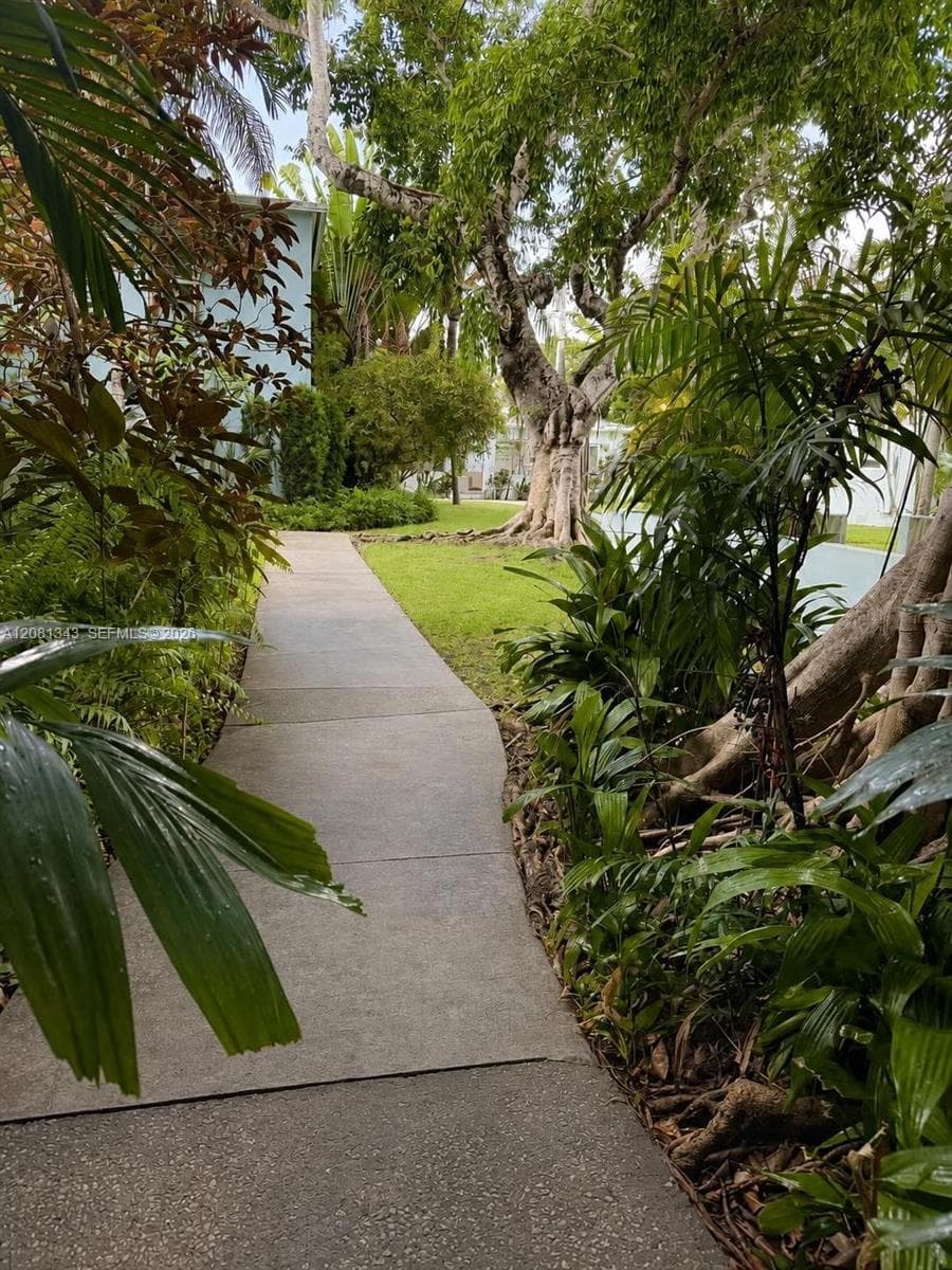 7715 SW 57th Ave # 3, Miami, FL 33143 photo 10