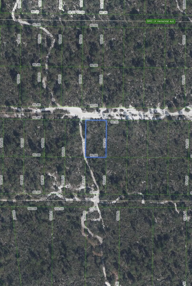 2221 Iris Avenue, Sebring, FL 33875 photo 2