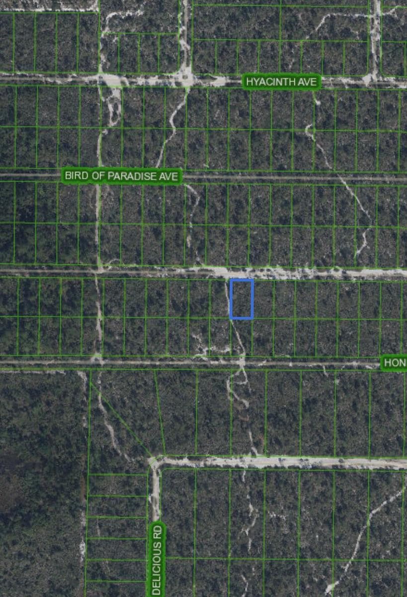 2221 Iris Avenue, Sebring, FL 33875 photo 3