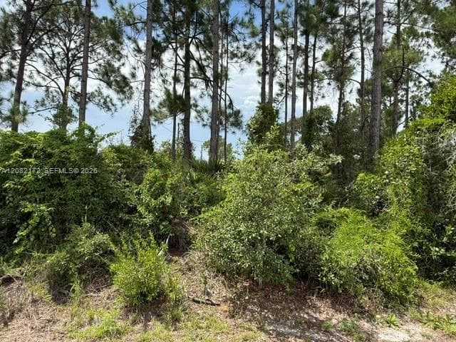 3607 Peugeot St, Sebring, FL 33872 photo 3