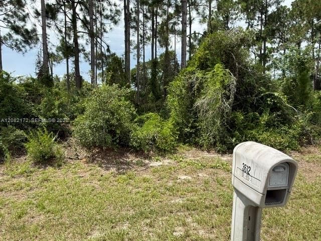3607 Peugeot St, Sebring, FL 33872 photo 5
