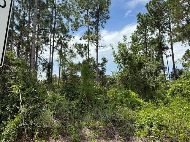 3607 Peugeot St, Sebring, FL 33872 photo 4