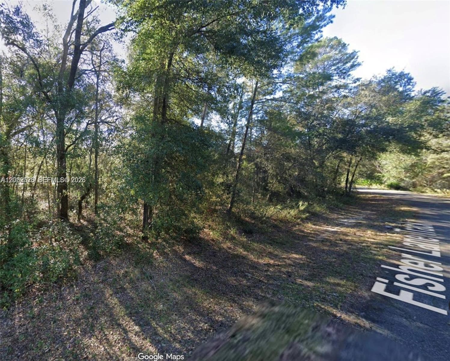 0 Fisher Lane Track, Other City - In The State Of Florida, FL 32179 photo 5