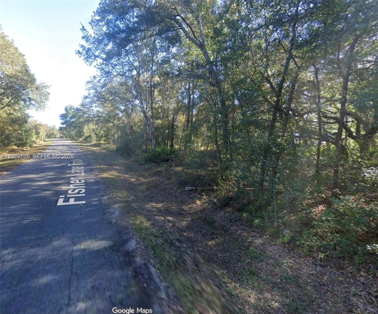 0 Fisher Lane Track, Other City - In The State Of Florida, FL 32179 photo 4