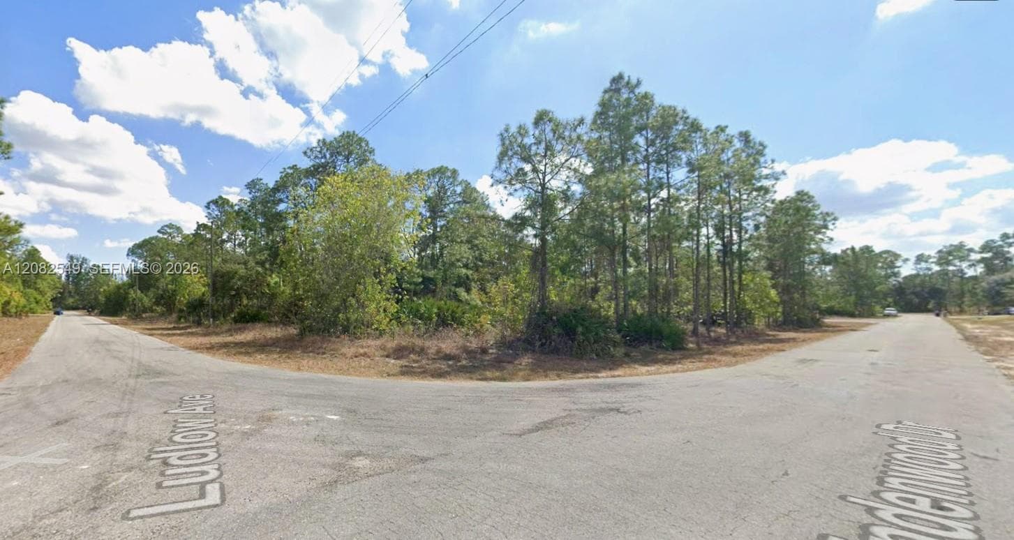 315 LUDLOW AVENUE, Lehigh Acres, FL 33972 photo 2