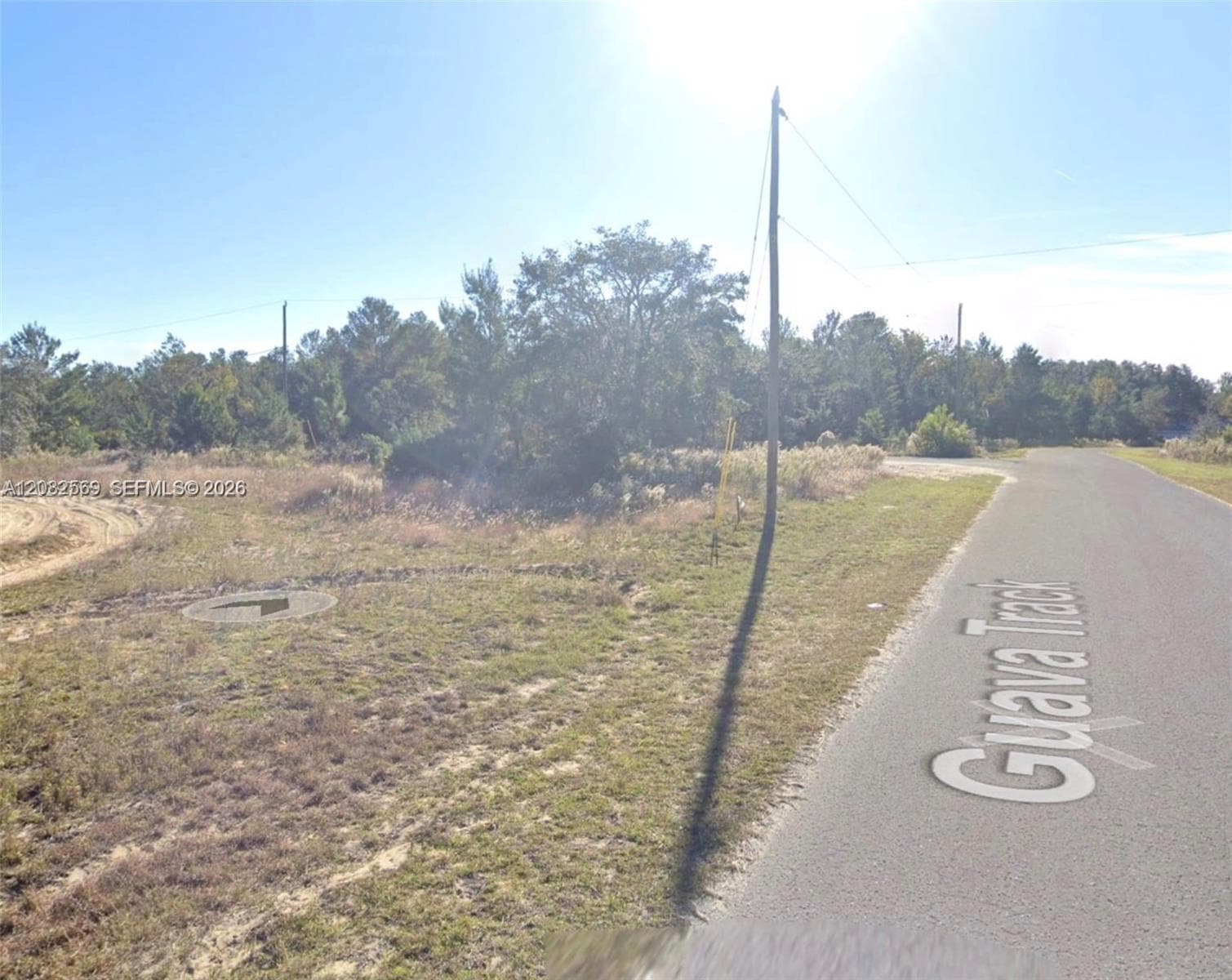 0 Fisher Run Trace, Other City - In The State Of Florida, FL 32179 photo 5