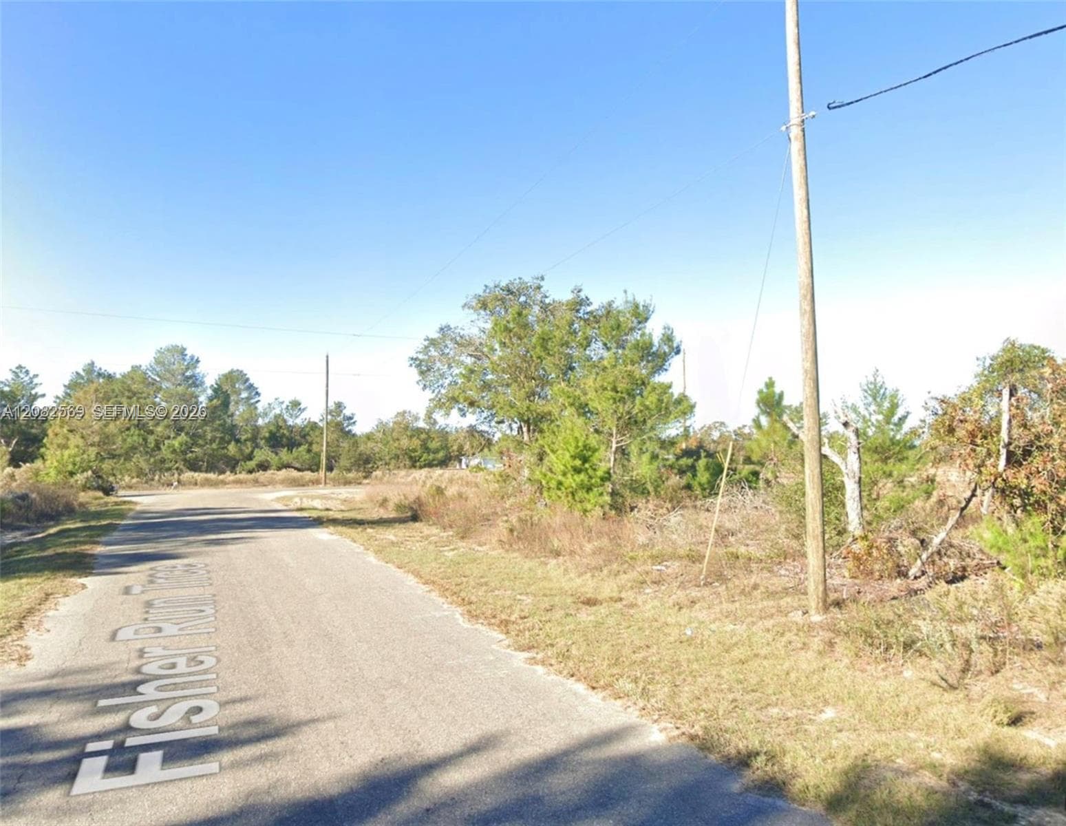0 Fisher Run Trace, Other City - In The State Of Florida, FL 32179 photo 4