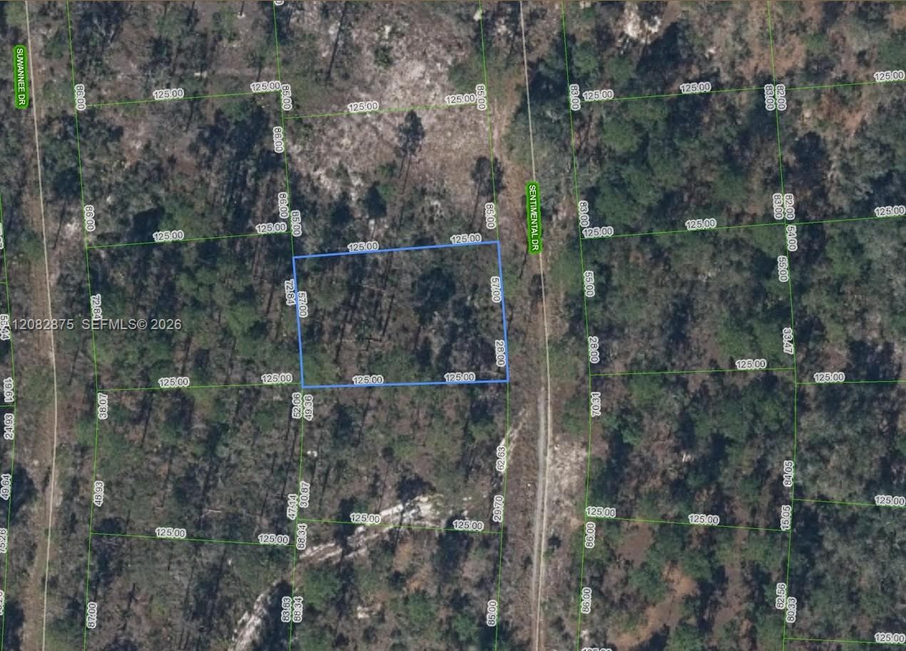 264 Sentimental Dr, Lake Placid, FL 33852