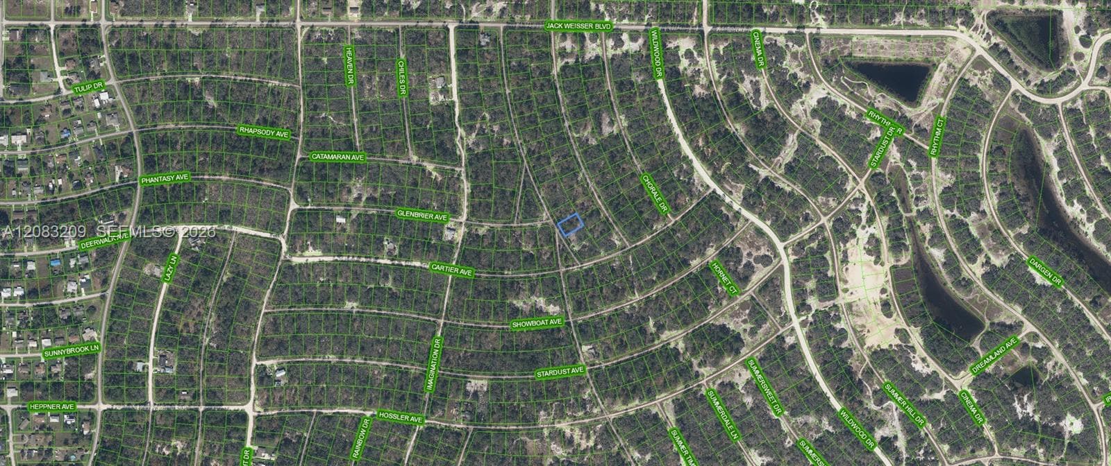 379 Blue Horizon  Drive, Lake Placid, FL 33852 photo 2
