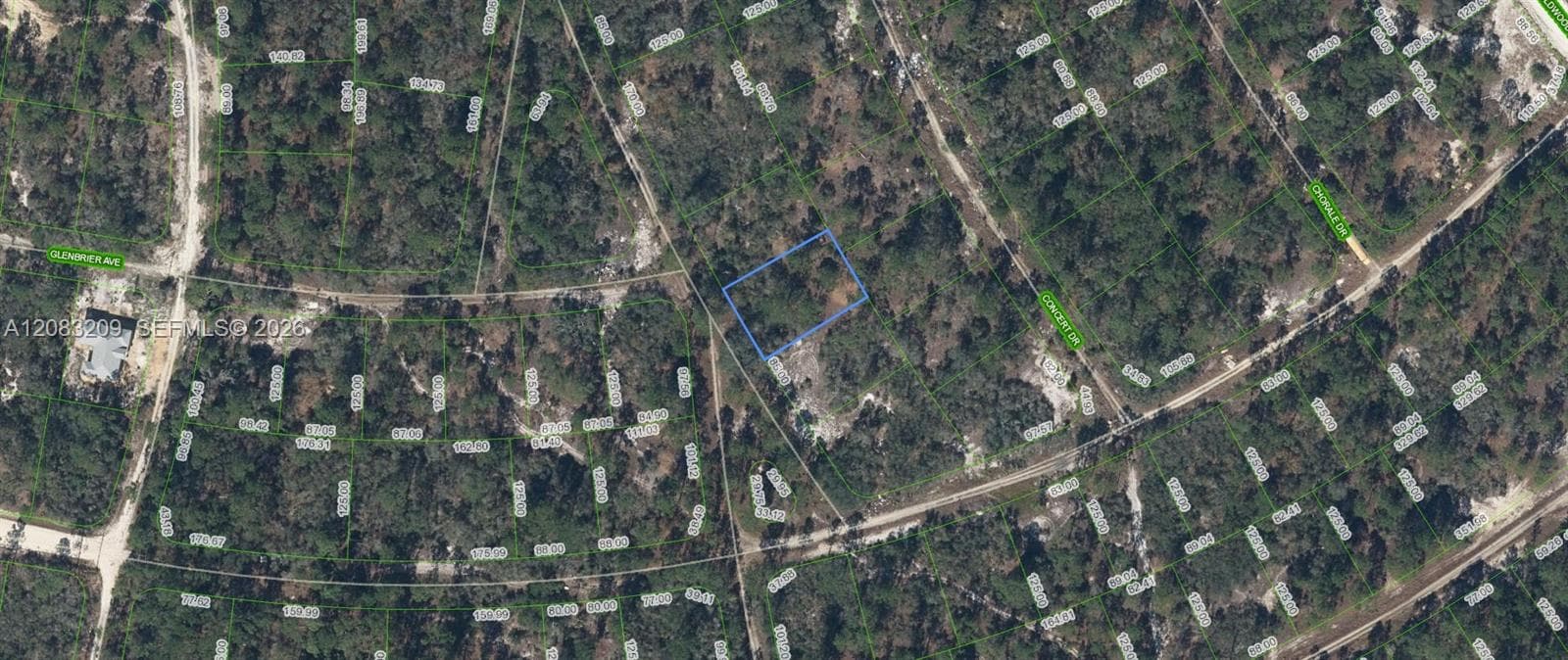 379 Blue Horizon  Drive, Lake Placid, FL 33852