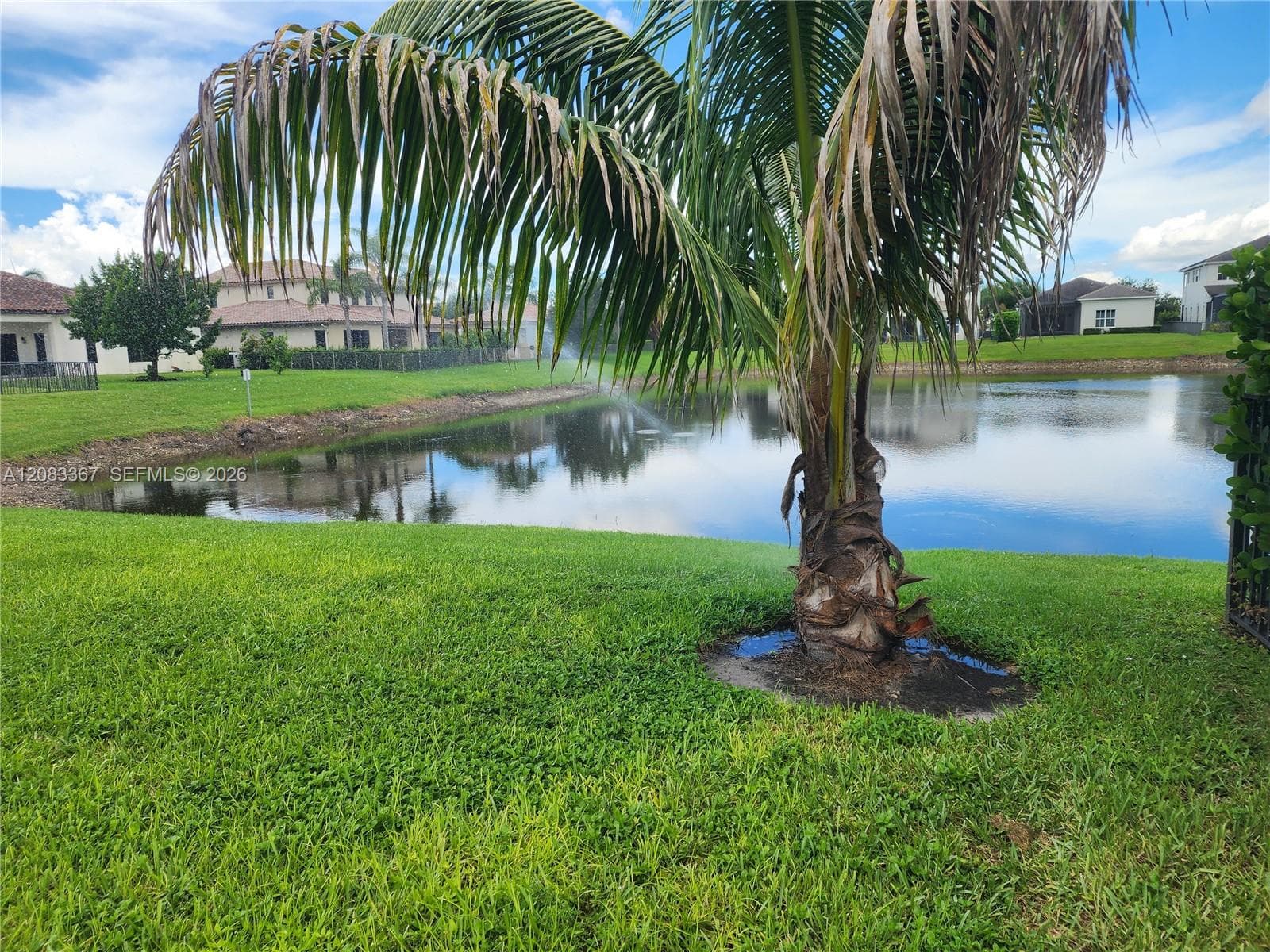 4783 Rosetta Terrace # 4783, Ave Maria, FL 34142 photo 3