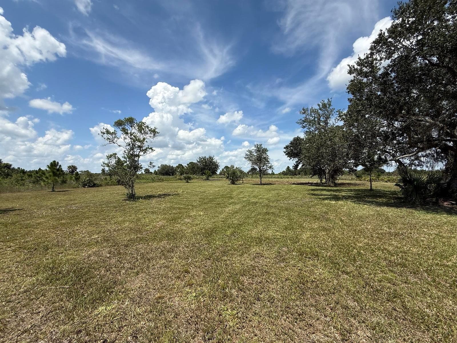 17019 NW 296TH Street, Okeechobee, FL 34972 photo 2