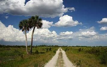 17019 NW 296TH Street, Okeechobee, FL 34972 photo 11