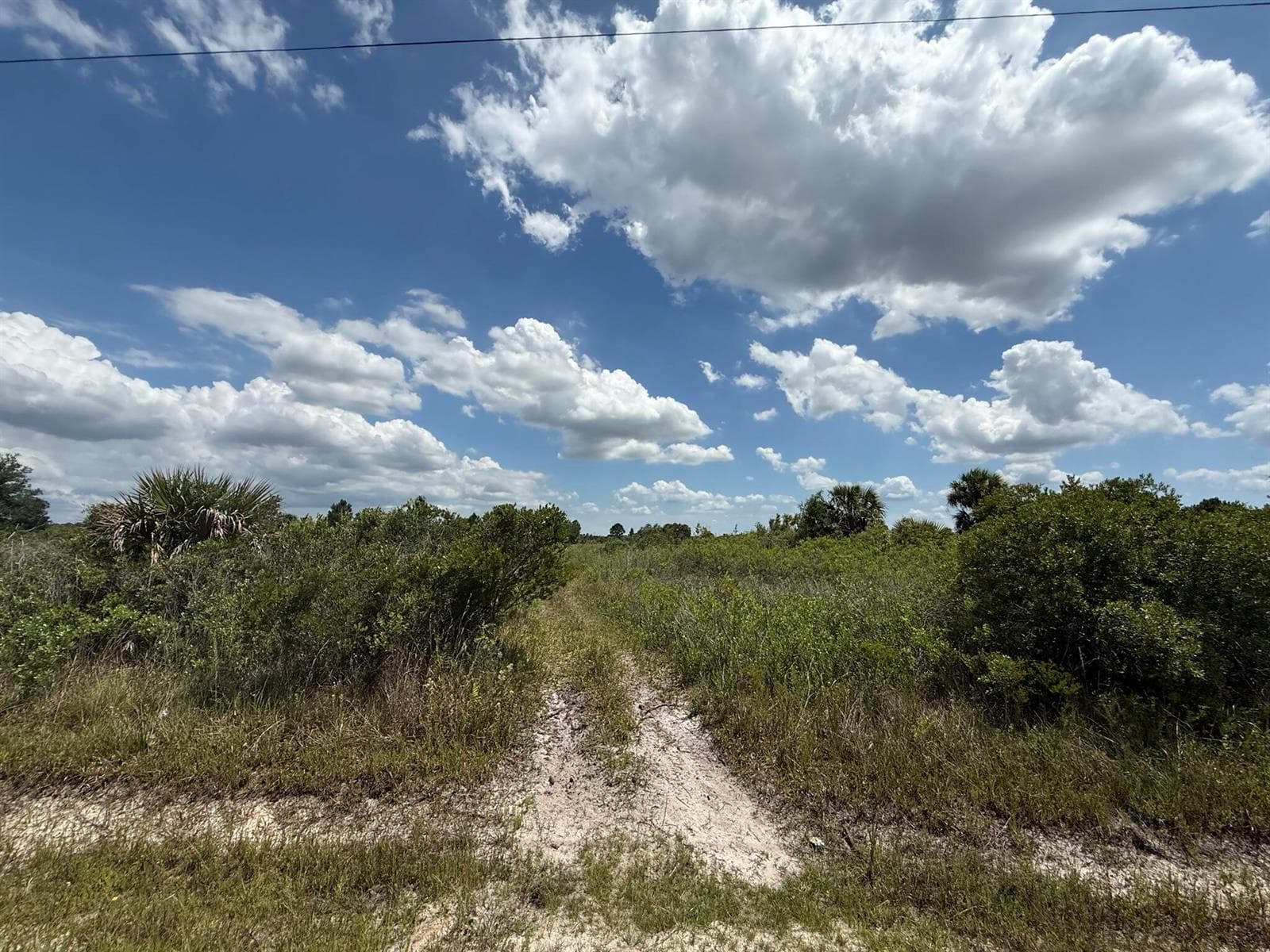 16162 NW 290TH Street, Okeechobee, FL 34972 photo 2