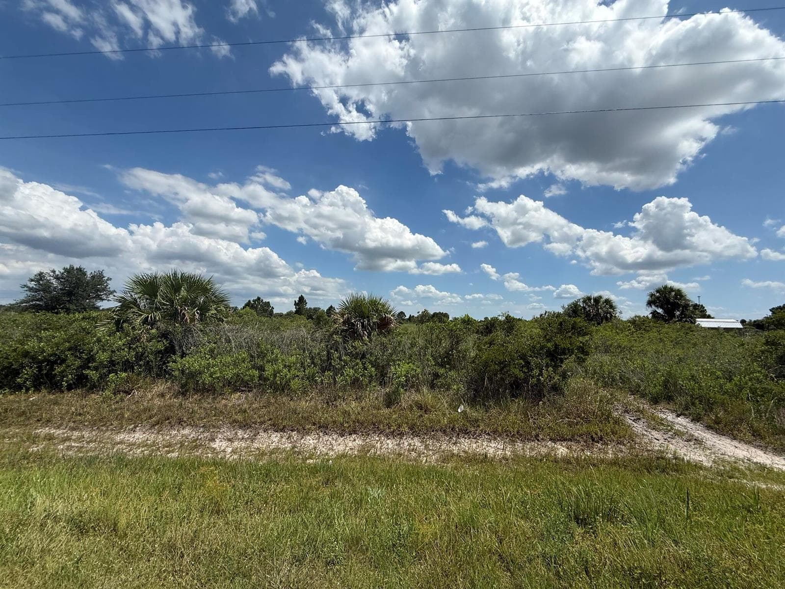 16162 NW 290TH Street, Okeechobee, FL 34972 photo 3