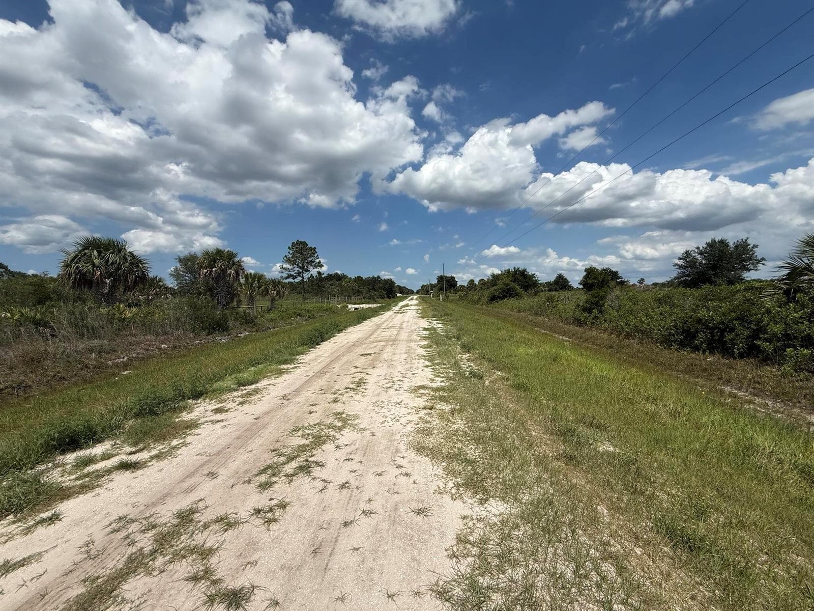 16162 NW 290TH Street, Okeechobee, FL 34972 photo 9
