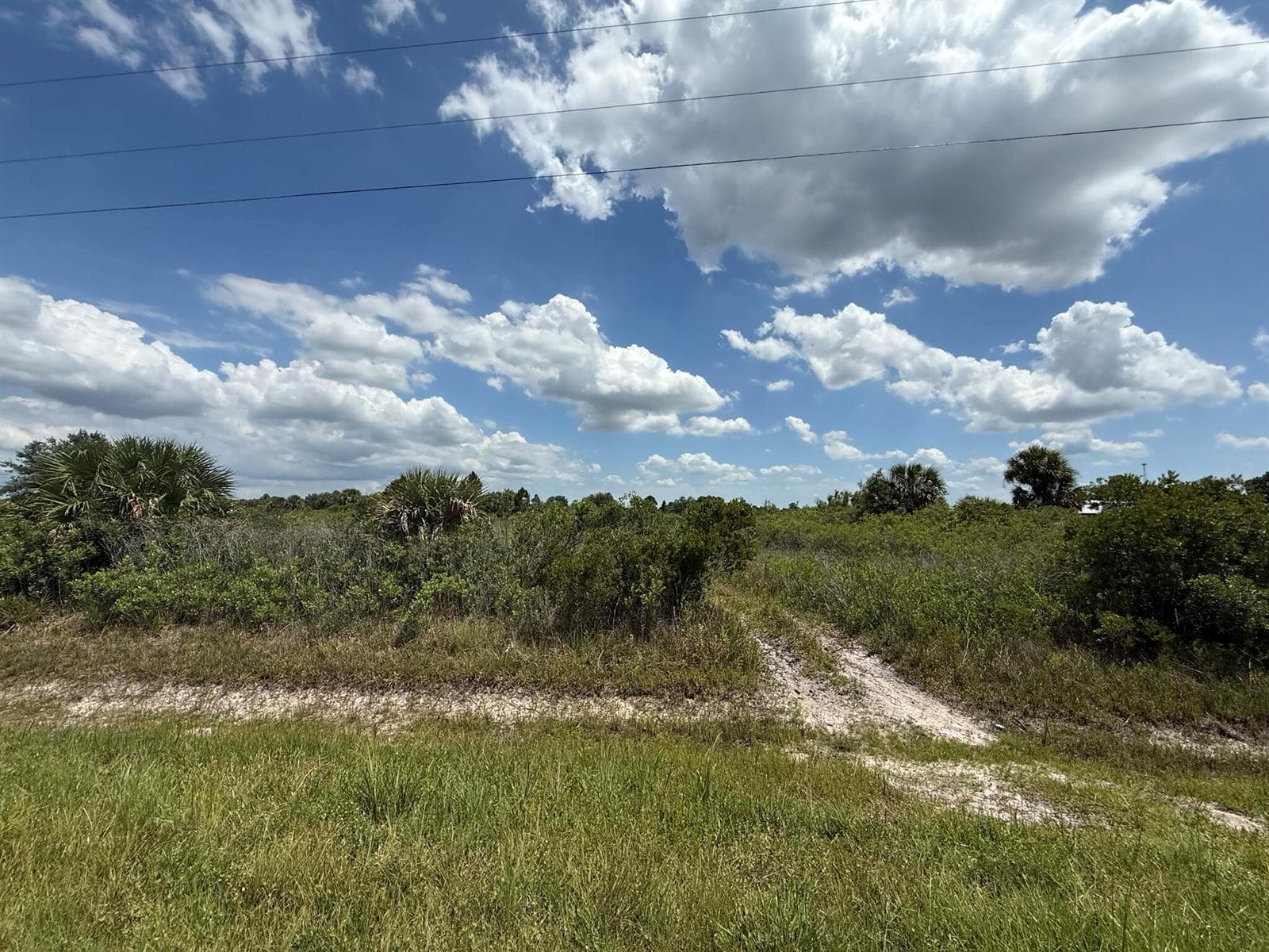 16162 NW 290TH Street, Okeechobee, FL 34972 photo 10
