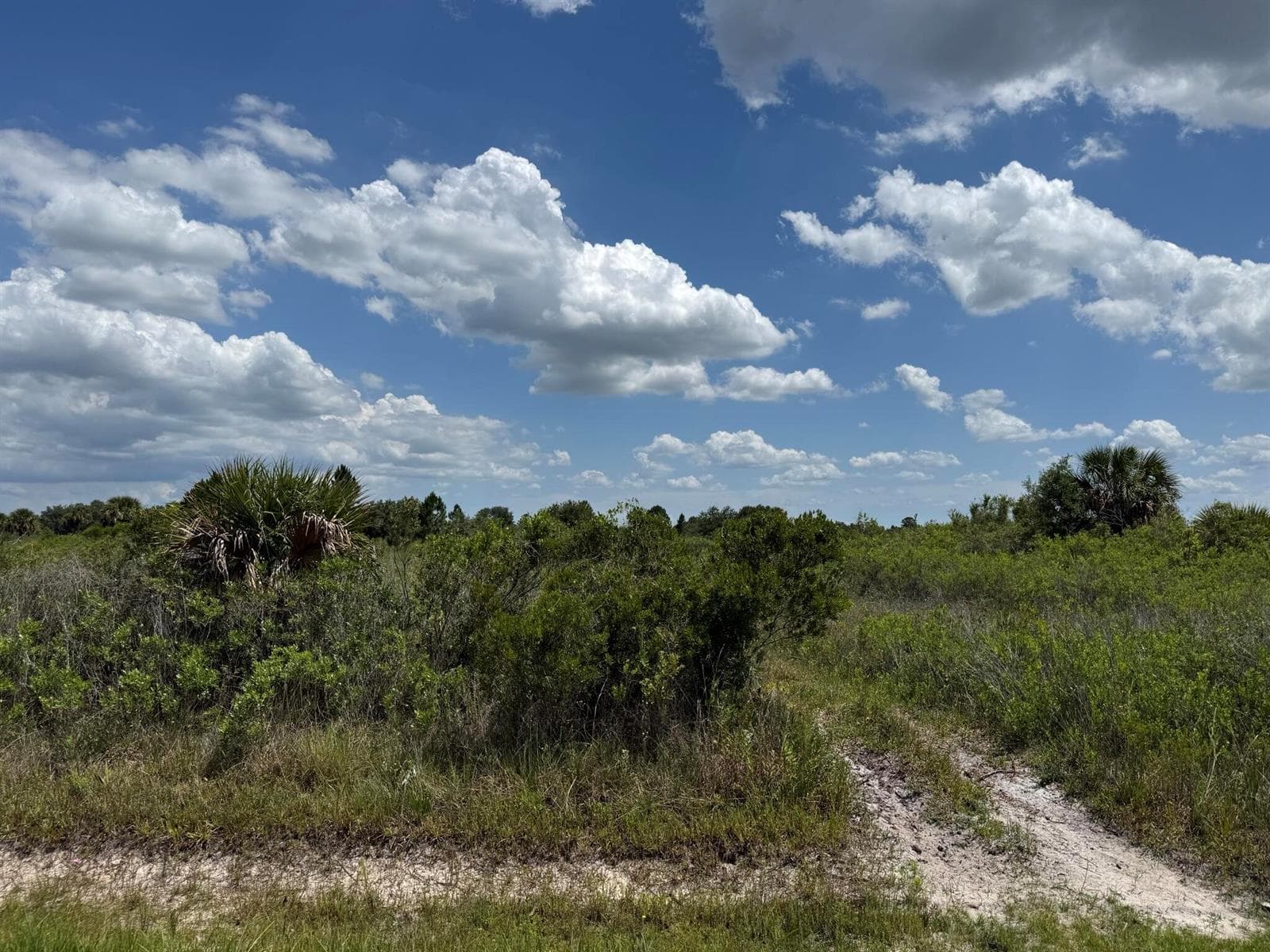 16162 NW 290TH Street, Okeechobee, FL 34972 photo 11