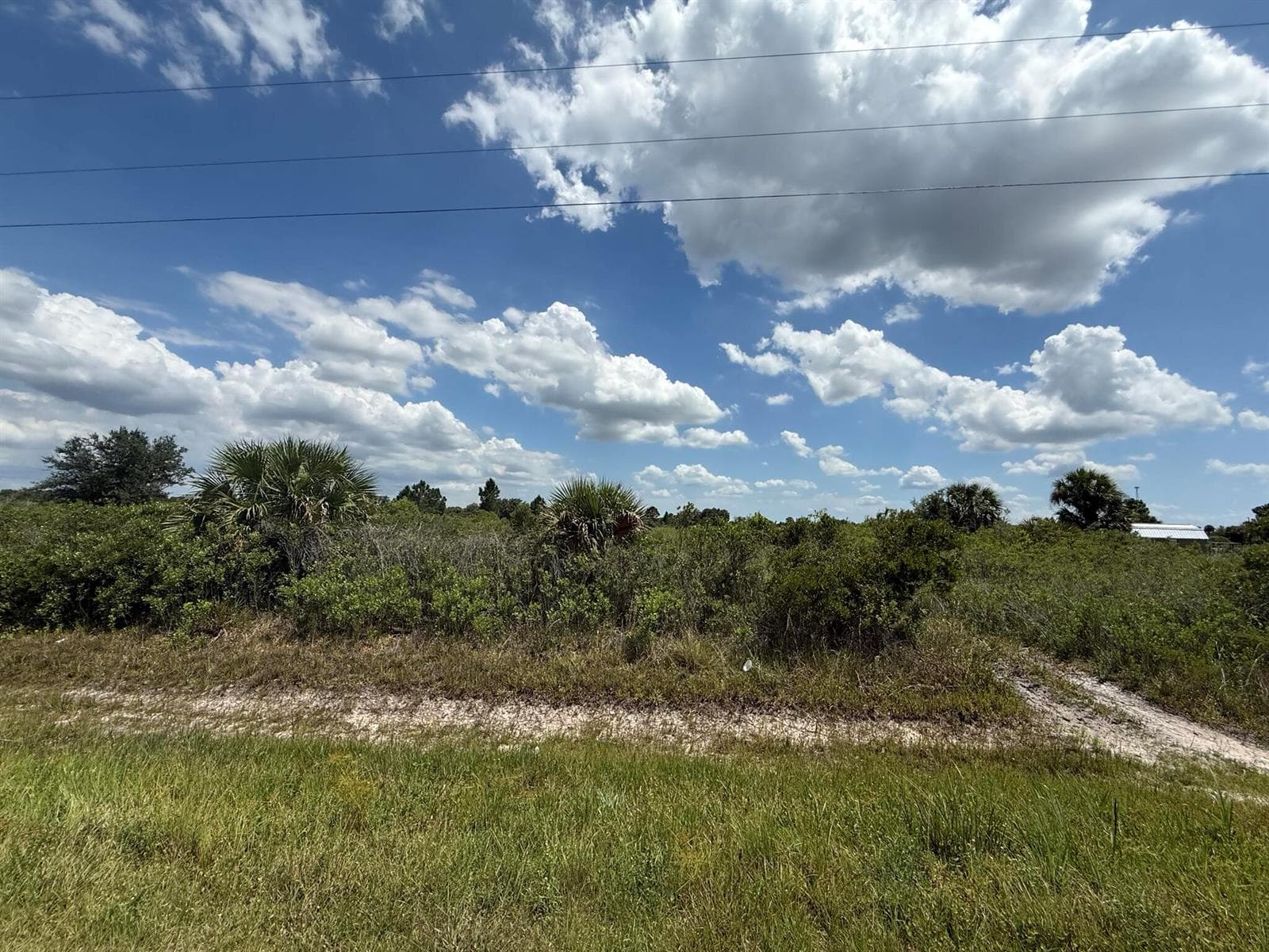 16162 NW 290TH Street, Okeechobee, FL 34972 photo 8