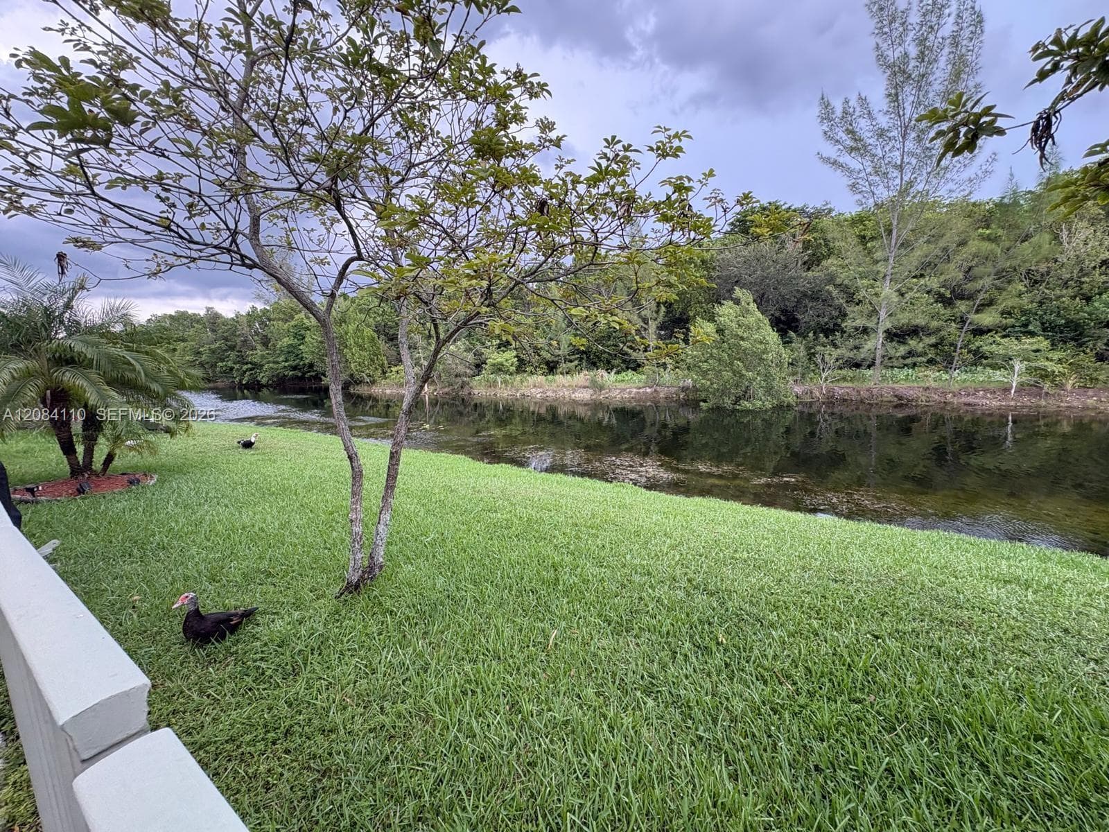1037 SW 143rd Ave # 1305, Pembroke Pines, FL 33027 photo 8