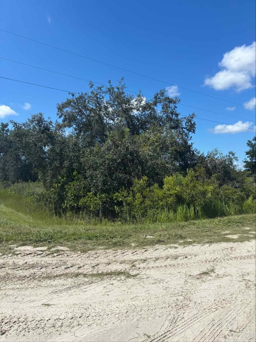 16014 NW 282ND Street, Okeechobee, FL 34972 photo 2