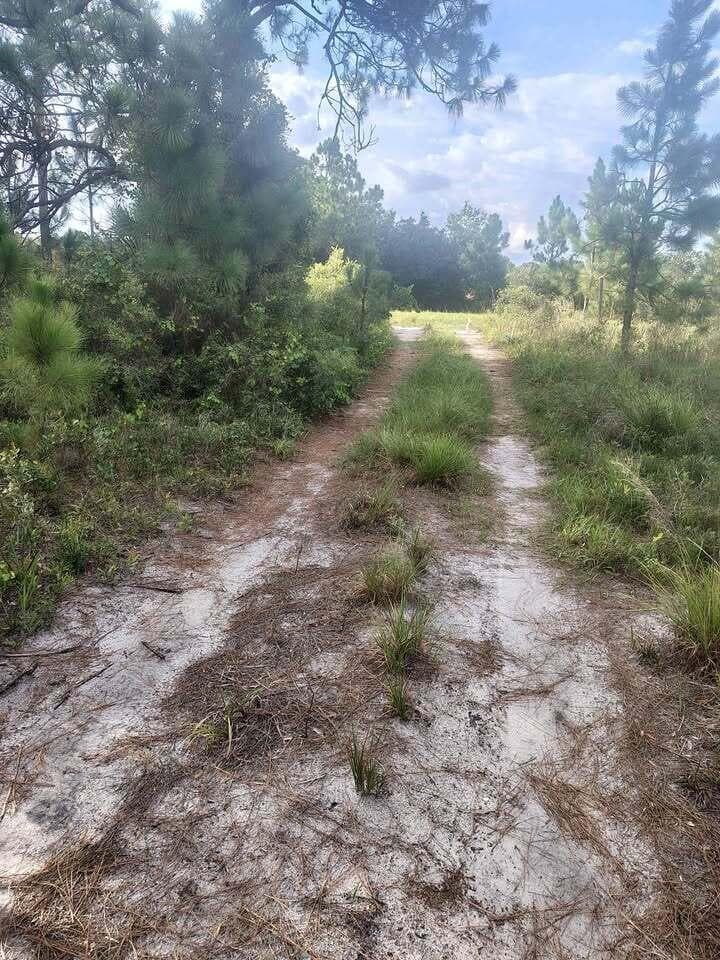 16791 NW 314th Street, Okeechobee, FL 34972 photo 2