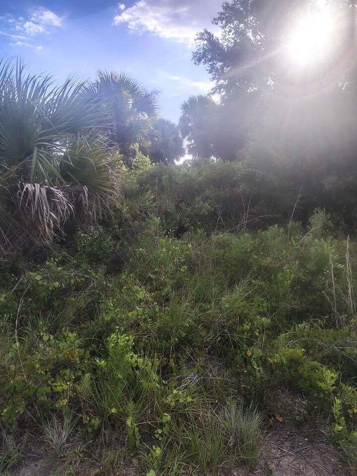 16791 NW 314th Street, Okeechobee, FL 34972 photo 6