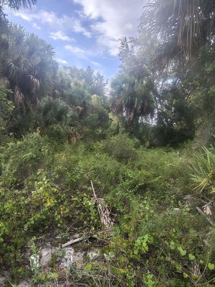 16791 NW 314th Street, Okeechobee, FL 34972 photo 13