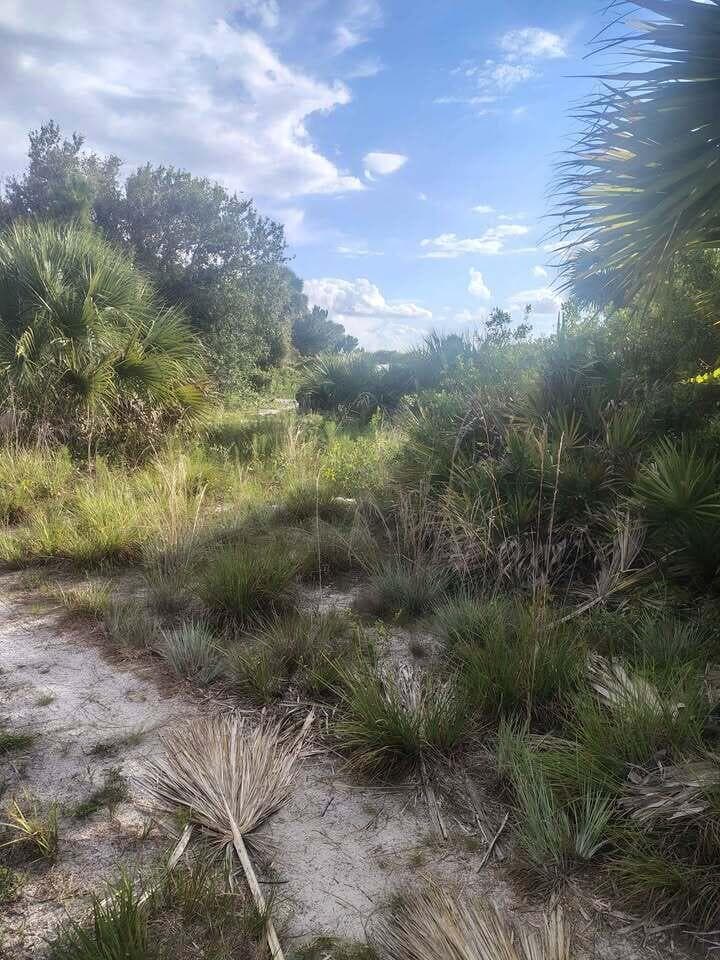 16791 NW 314th Street, Okeechobee, FL 34972 photo 7