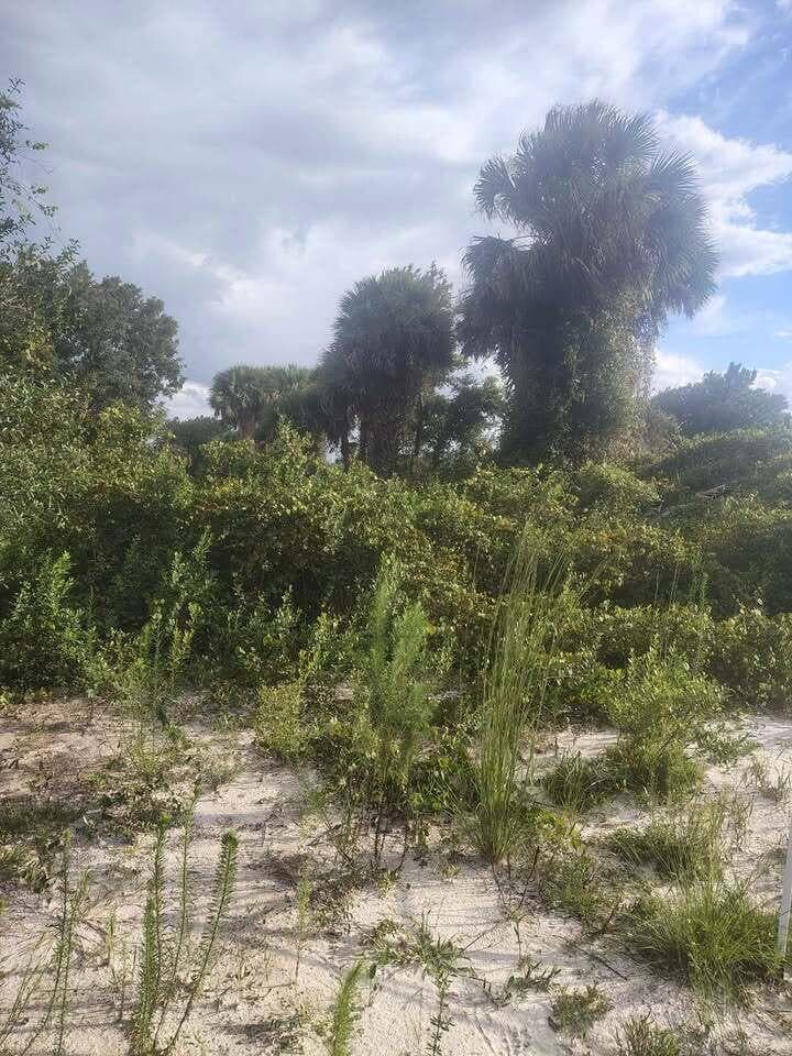 16791 NW 314th Street, Okeechobee, FL 34972 photo 11