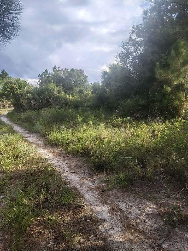 16791 NW 314th Street, Okeechobee, FL 34972 photo 4