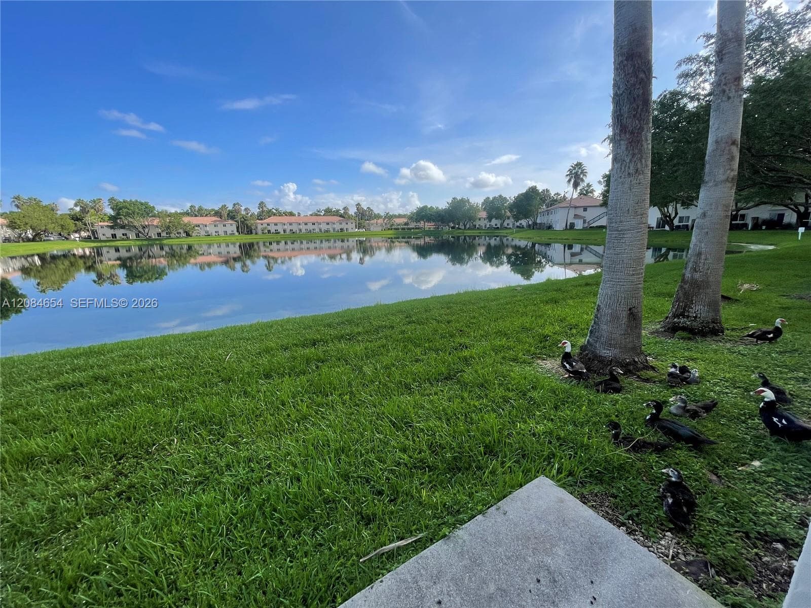 1251 SE 31st Ct # 106-54, Homestead, FL 33035 photo 5
